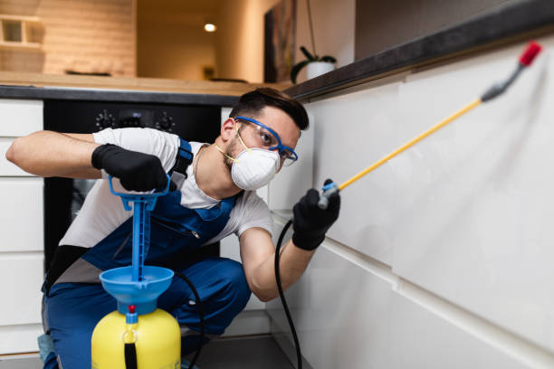 Best Pest Control Near Me  in Carlton, OR