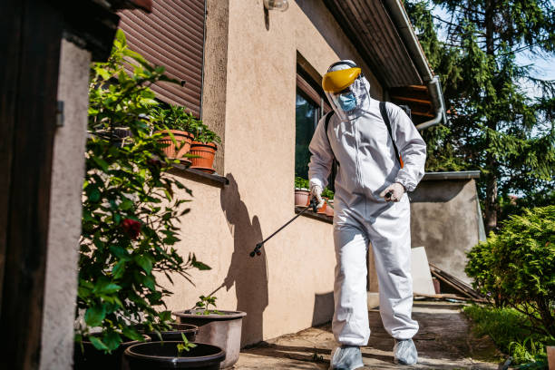 Best Pest Control Near Me  in Carlton, OR