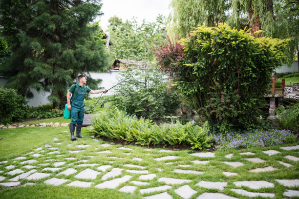 Best Pest Inspection Near Me  in Carlton, OR