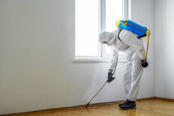Wildlife Control Services in Carlton, OR