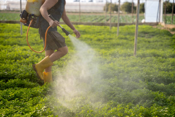 Best Wildlife Control Services  in Carlton, OR