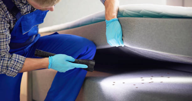 Best Wasp Removal Services  in Carlton, OR