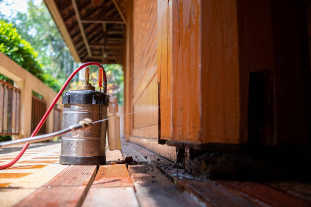 Best Mosquito Control Services  in Carlton, OR
