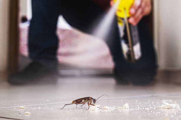 Pest Prevention Services in Carlton, OR