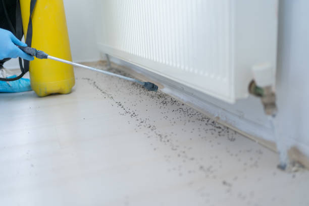 Best Best Pest Control Companies  in Carlton, OR