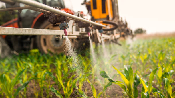 Best Ant Control Services  in Carlton, OR